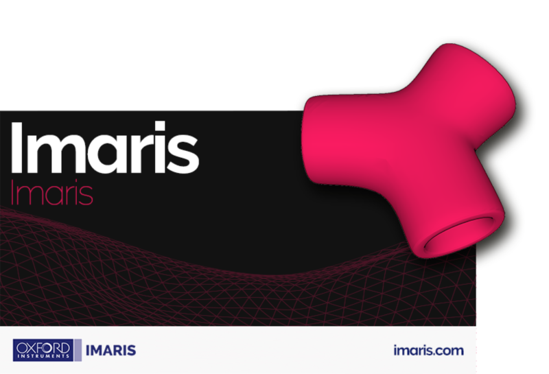 3D, 4D 시각화 및 분석 소프트웨어 (IMARIS)
