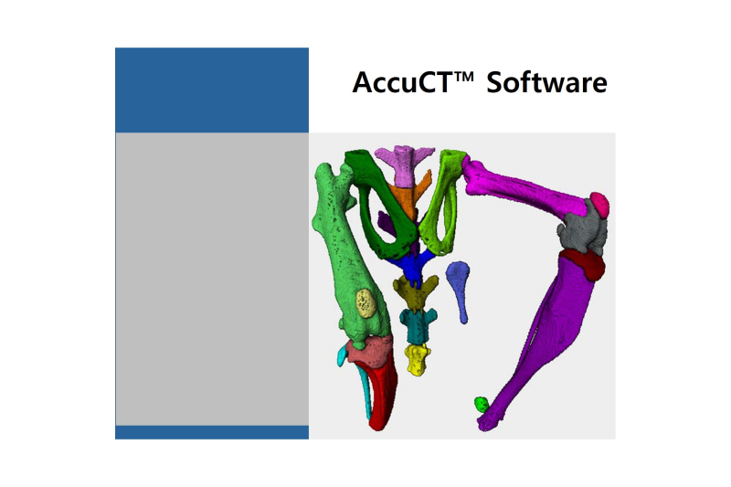 [연건소프트웨어] AccuCT microCT Analysis